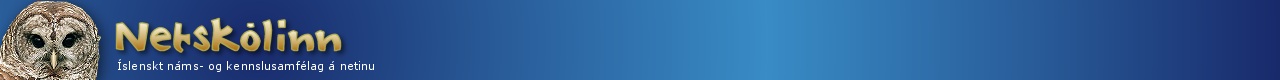 http://www.netskoli.is/App_Themes/gold/netskoli_toppur.jpg