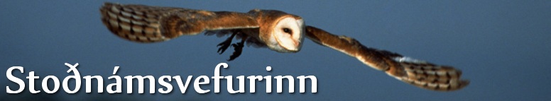 http://www.netskoli.is/serverkefni/stodnam/theme/images/bg/header_image8.jpg